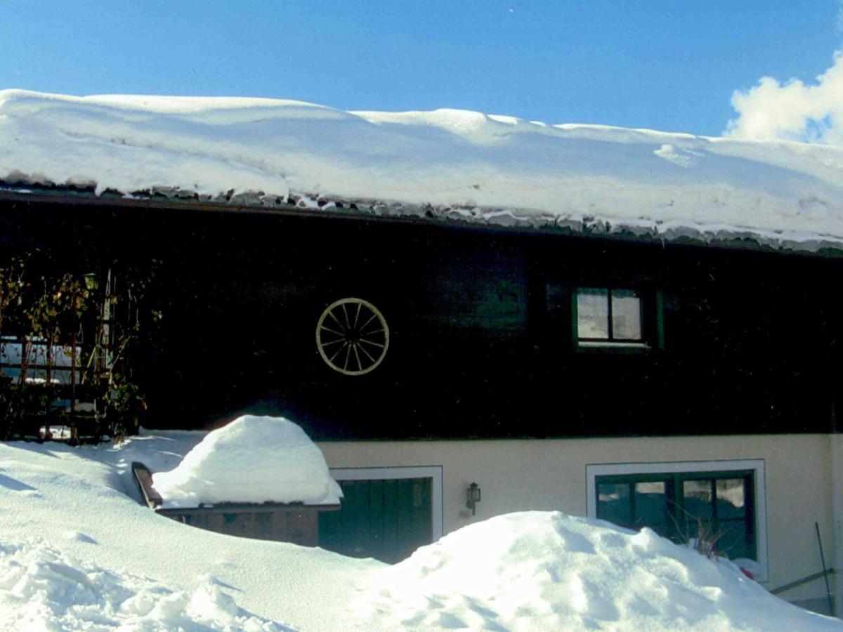 Chalet In Leogang Salzburg With Garden Exteriér fotografie